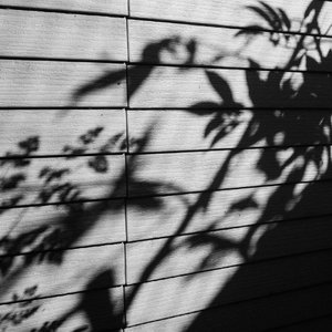 三上悠亚奶头全乳露出
